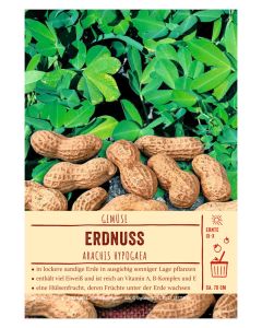 Sortenschild, Arachis hypogaea