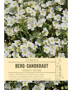 Sortenschild, Arenaria montana