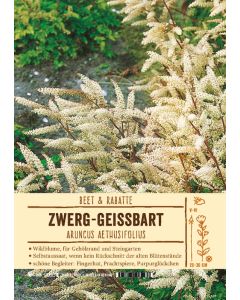 Sortenschild, Aruncus aethusifolius