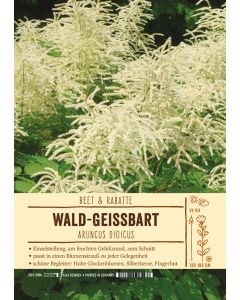 Sortenschild, Aruncus dioicus