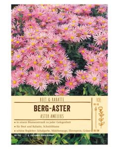 Sortenschild, Aster amellus