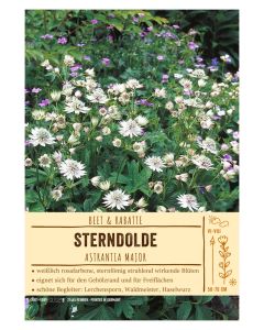 Sortenschild, Astrantia major