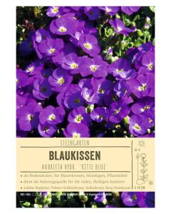 Sortenschild, Aubrieta Hybr. 'Kitte Blue'