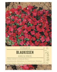 Sortenschild, Aubrieta Hybride