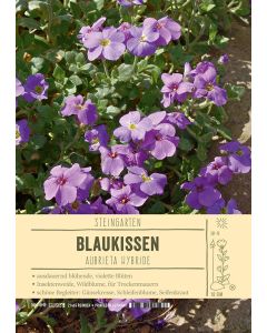 Sortenschild, Aubrieta Hybride