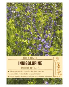 Sortenschild, Baptisia australis