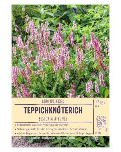 Sortenschild, Bistorta affinis