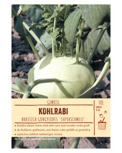 Sortenschild, Brassica oler. var. gongylodes