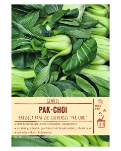 Sortenschild, Brassica rapa ssp. chinensis 'Pak Choi'