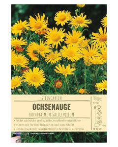 Sortenschild, Buphthalmum salicifolium