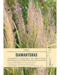 Sortenschild, Calamagrostis arundinacea var. brachytricha