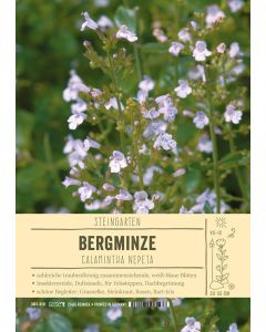 Sortenschild, Calamintha nepeta