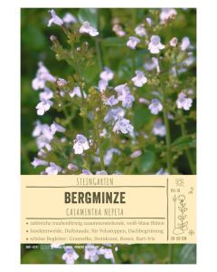 Sortenschild, Calamintha nepeta