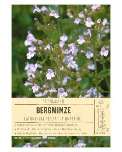 Sortenschild, Calamintha nepeta 'Triumphator'