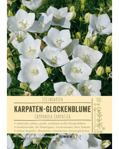 Sortenschild, Campanula carpatica