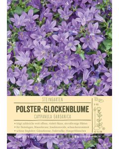 Sortenschild, Campanula garganica