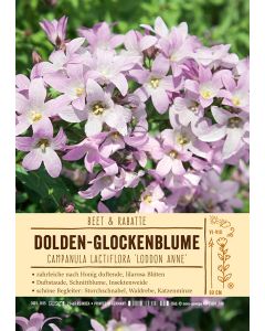 Sortenschild, Campanula lactiflora 'Loddon Anne'