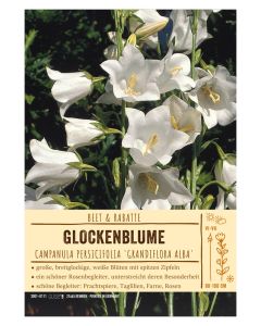 Sortenschild, Campanula persicifolia 'Grandiflora Alba'