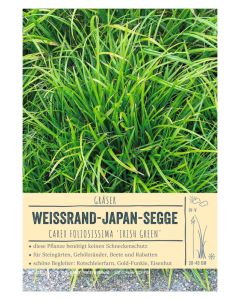 Sortenschild, Carex foliosissima 'Irish Green'