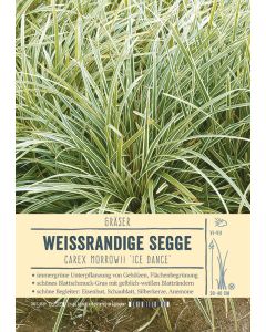 Sortenschild, Carex morrowii 'Ice Dance'