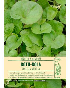 Sortenschild, Centella asiatica