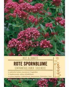 Sortenschild, Centranthus ruber
