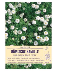Sortenschild, Chamaemelum nobile 'Plena'