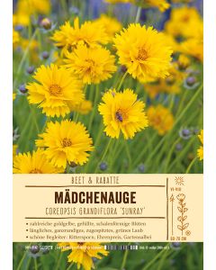 Sortenschild, Coreopsis grandiflora 'Sunray'