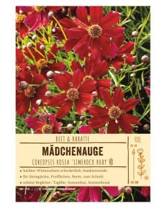 Sortenschild, Coreopsis rosea 'Limerock Ruby'®