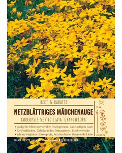 Sortenschild, Coreopsis verticillata 'Grandiflora'