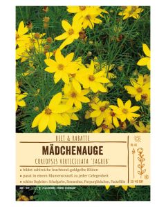 Sortenschild, Coreopsis verticillata 'Zagreb'