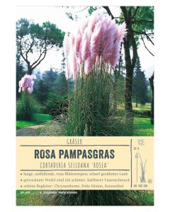Sortenschild, Cortaderia selloana 'Rosea'