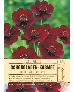Sortenschild, Cosmos atrosanguineus