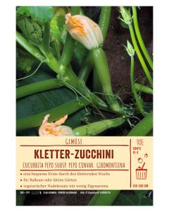 Sortenschild, Cucurbita pepo cv. giromontiina