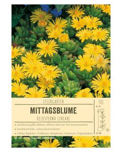 Sortenschild, Delosperma lineare