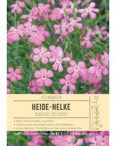Sortenschild, Dianthus deltoides