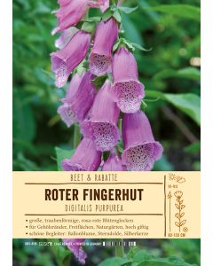 Sortenschild, Digitalis purpurea