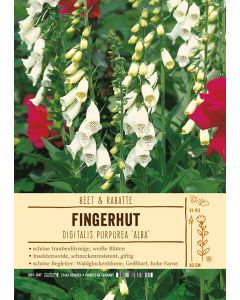 Sortenschild, Digitalis purpurea 'Alba'