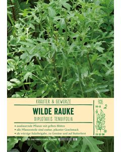 Sortenschild, Diplotaxis tenuifolia