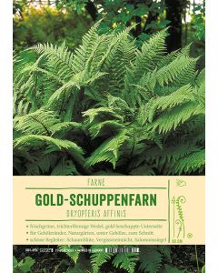 Sortenschild, Dryopteris affinis