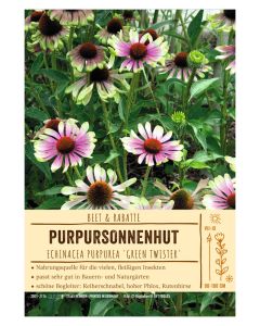 Sortenschild, Echinacea purp. 'Green Twister'