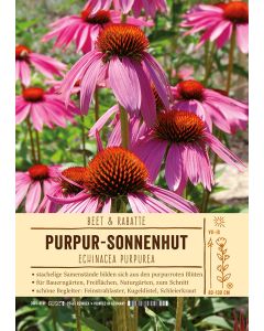 Sortenschild, Echinacea purpurea