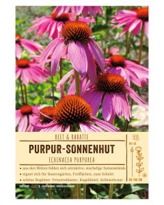 Sortenschild, Echinacea purpurea