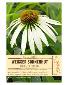 Sortenschild, Echinacea purpurea