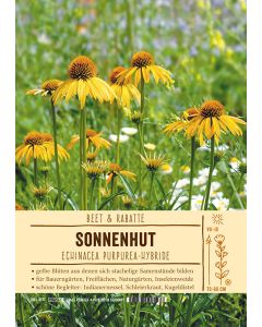 Sortenschild, Echinacea Hybrid