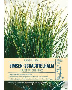 Sortenschild, Equisetum scirpoides