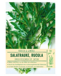 Sortenschild, Eruca vesicaria ssp. sativa