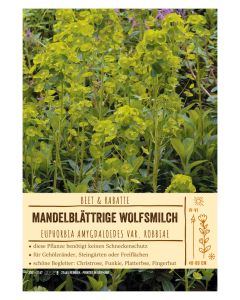 Sortenschild, Euphorbia amygdaloides var. robbiae