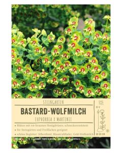 Sortenschild, Euphorbia x martinii