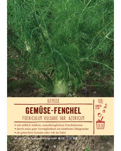 Sortenschild, Foeniculum vulg. var. azoricum